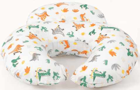 Recalled AMASKY Nursing Pillows — The recalled nursing pillows advertised for infant feeding and tummy time violate the…
