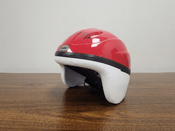 Recalled ProRider Bicycle Helmets: The recalled helmets violate the mandatory safety standard for bicycle helmets because…